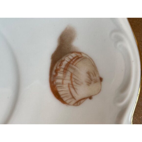 Cup Saucer Western Germany Sea Shore Shells Made in OTCO Bavaria West Germany - Picture 8 of 9